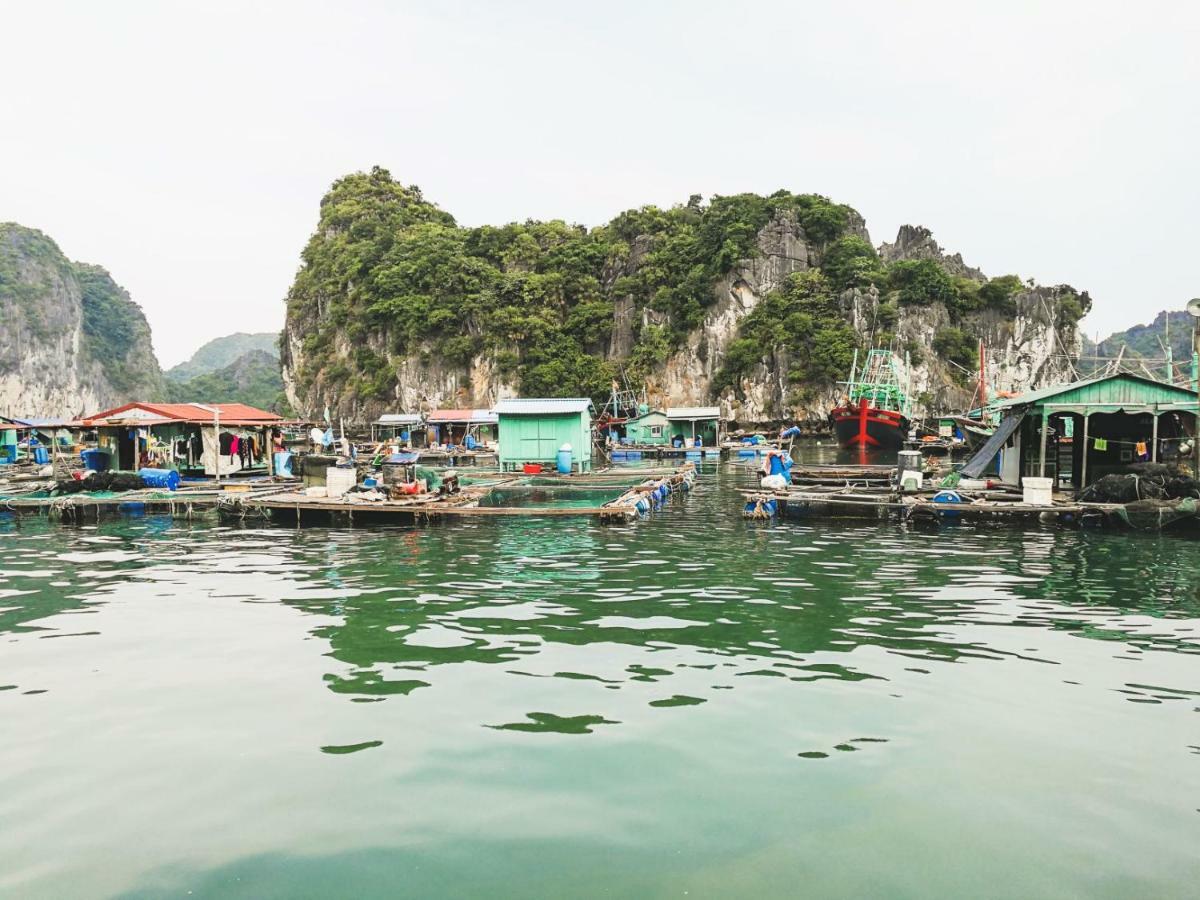 Heritage Line Ylang Cruise - Halong Bay & Lan Ha Bay Hạ Long Extérieur photo