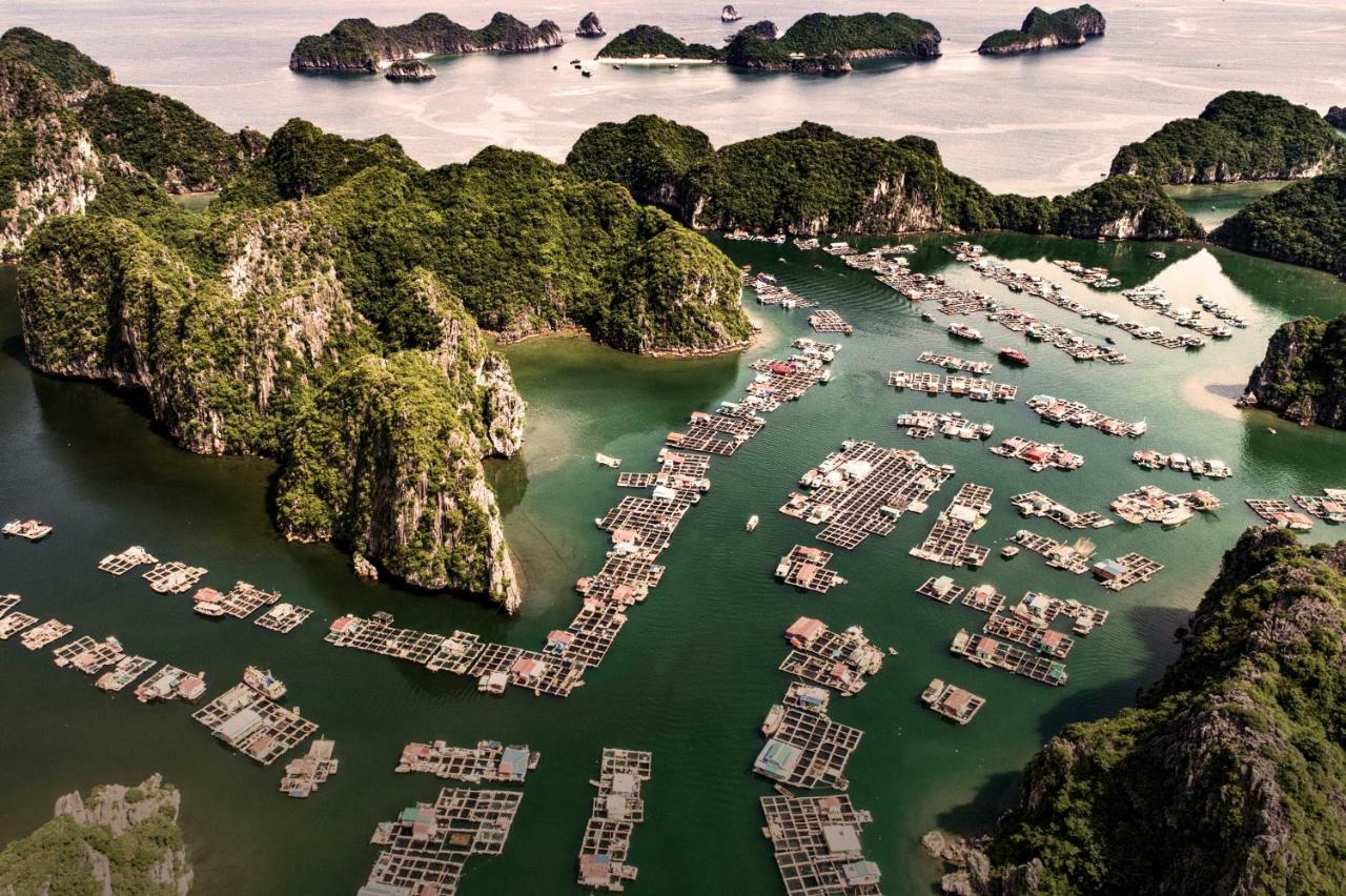 Heritage Line Ylang Cruise - Halong Bay & Lan Ha Bay Hạ Long Extérieur photo