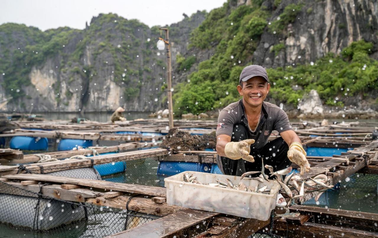 Heritage Line Ylang Cruise - Halong Bay & Lan Ha Bay Hạ Long Extérieur photo